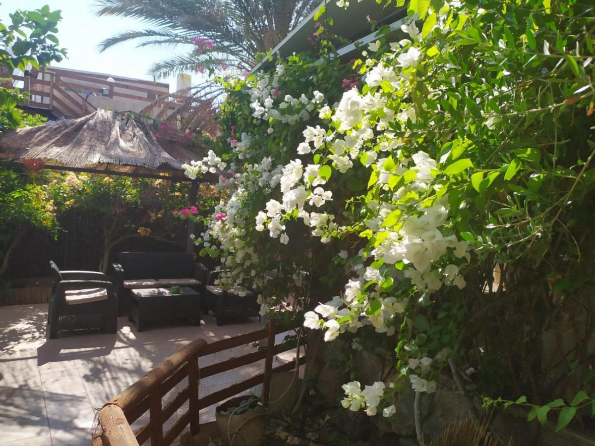 Ferienwohnung Lotus turtle garden Eilat Exterior foto