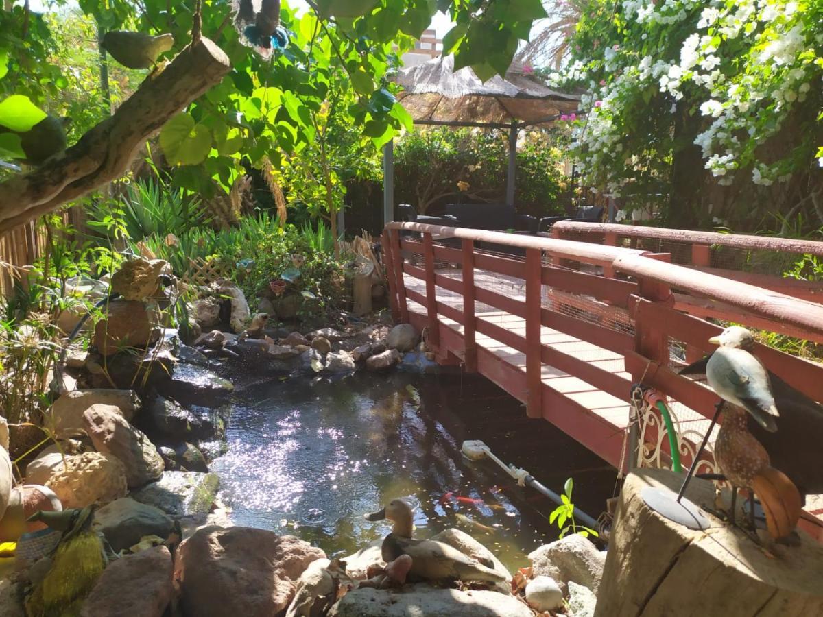 Ferienwohnung Lotus turtle garden Eilat Exterior foto